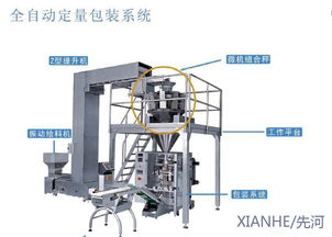 齊齊哈爾糖果包裝機(jī)全自動糖果一體機(jī)干果炒貨包裝機(jī)糖果干果包裝機(jī) 食品包裝機(jī)械